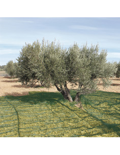 MANTA RECOGER OLIVA/ALMENDRA VERDE 5X10 M