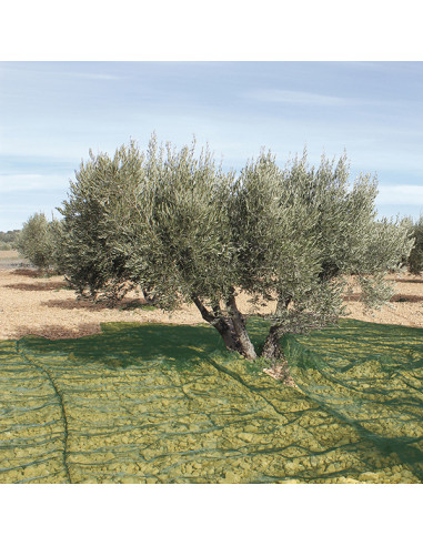 MANTA RECOGER OLIVA/ALMENDRA VERDE 4X8 M