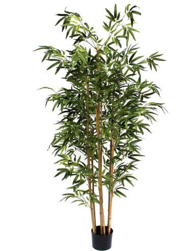 ARBOL BAMBU 190 CM