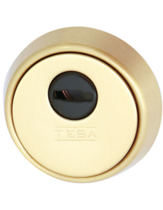 ESCUDO ALTA SEGURIDAD E700L LATON MATE