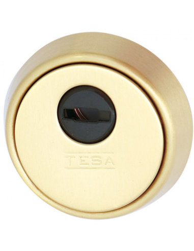 ESCUDO ALTA SEGURIDAD E700L LATON MATE