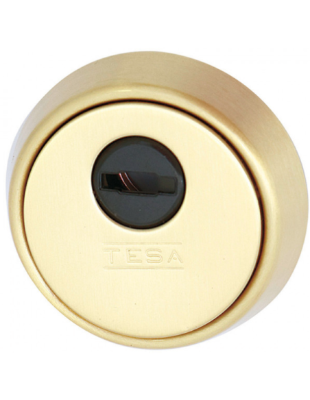 ESCUDO ALTA SEGURIDAD E700L LATON MATE