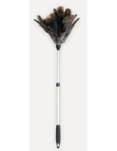 PLUMERO AVESTRUZ M/EXTENSIBLE