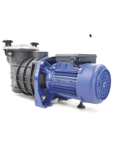 BOMBA BRAVIA MONOFASICA 1 HP