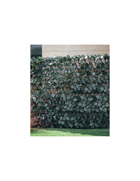 CELOSIA EXTENSIBLE MIMBRE HIEDRA 1X2 M