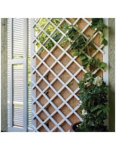 CELOSIA EXTENSIBLE PLASTICO BLANCO 1X2 M