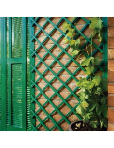 CELOSIA EXTENSIBLE PLASTICO VERDE 1X2 M