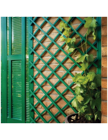CELOSIA EXTENSIBLE PLASTICO VERDE 1X2 M