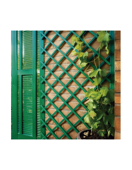 CELOSIA EXTENSIBLE PLASTICO VERDE 1X2 M