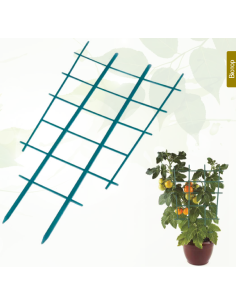 CELOSIA PLASTICO VERDE PACK 2 uds 47X25