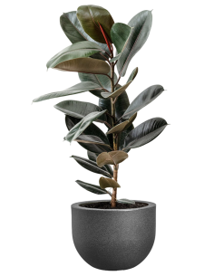 MACETA EXT. GRACE ROUND PIEDRA ANTRACITA 40 CM