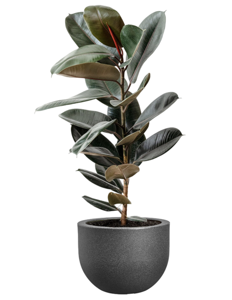 MACETA EXT. GRACE ROUND PIEDRA ANTRACITA 40 CM