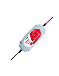 CARGADOR BATERIA 10067 12-24 V
