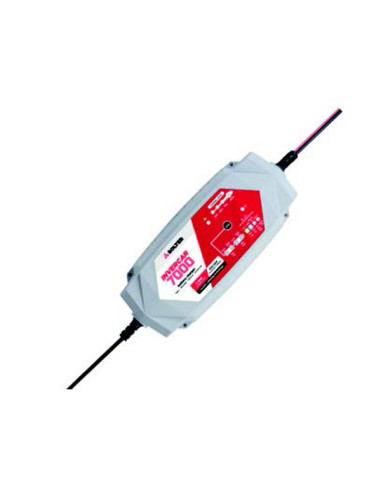 CARGADOR BATERIA 10067 12-24 V