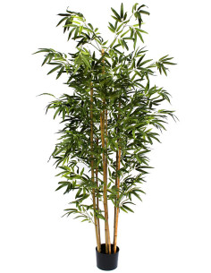 ARBOL BAMBU 190 CM 2
