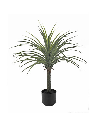 PLANTA YUCCA 70 CM
