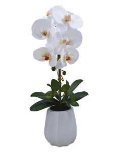 PLANTA PHALENOPSIS C/MACETA CERAMICA 54 CM 2