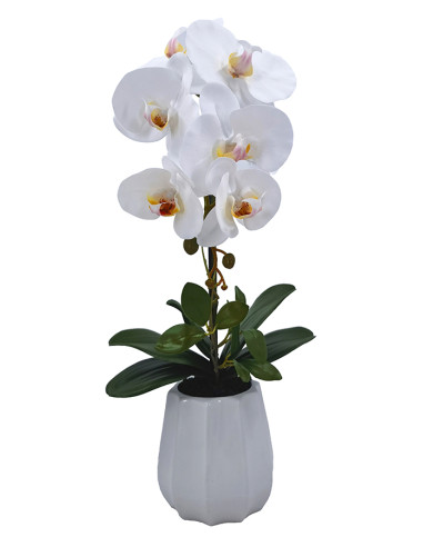 PLANTA PHALENOPSIS C/MACETA CERAMICA 54 CM