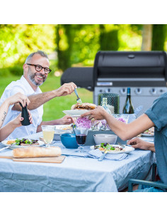 Barbacoa gas Campingaz 4 Series Classic LS Plus 4 quemadores 2