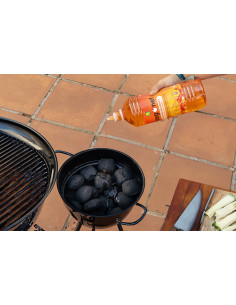 GEL ENCENDIDO BARBACOA 1000 ML 2