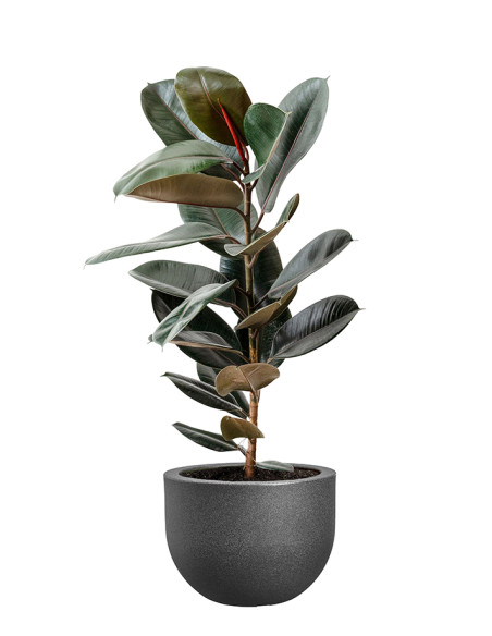 MACETA EXT. GRACE ROUND PIEDRA ANTRACITA 40 CM