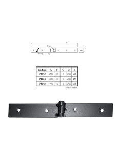 BISAGRA ATORNILLAR 300X40 MM 2