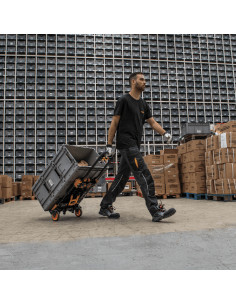 CARRETILLA PLEGABLE 2 EN 1 137 KG 2