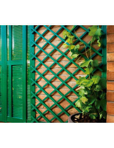 CELOSIA EXTENSIBLE PLASTICO VERDE 1X2 M 2