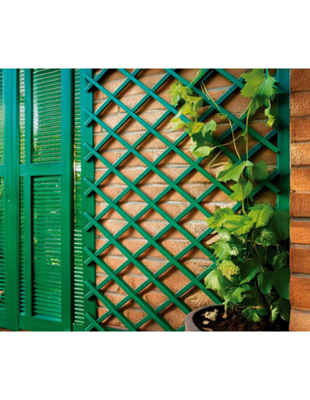 CELOSIA EXTENSIBLE PLASTICO VERDE 1X2 M