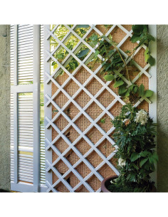 CELOSIA EXTENSIBLE PLASTICO BLANCO 1X2 M 2