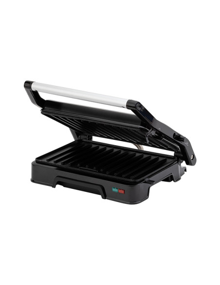 GRILL DOBLE ASAR 1000 W