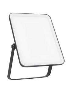 FOCO LED EXTERIOR IP65 ESSENTIAL 2850LM 6500K LF 30 W 2