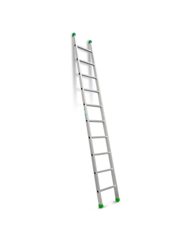 ESCALERA INDUSTRIAL 1T 10 PELD ESCALIBUR 2,90 M