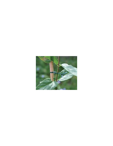 ALAMBRE PLASTIFICADO 2,2MM 30 M
