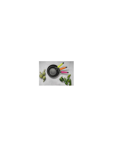 SARTEN INDUCCION M/DESMONT.KIWI 24 CM