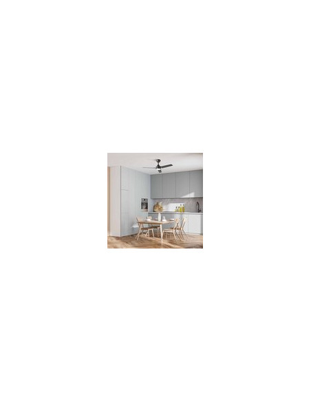 VENTILADOR TECHO LED 3 ASPAS 6 VELOC 100X40X120