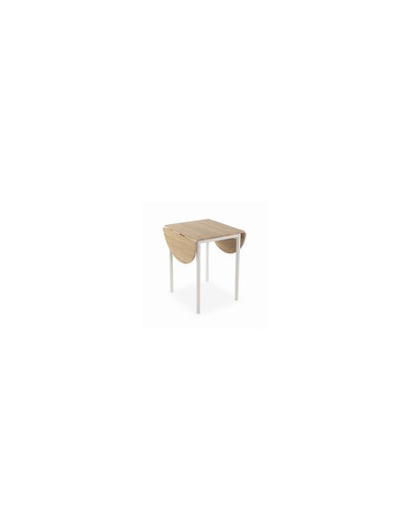 MESA + 2 SILLAS BLANCO 61X55X77