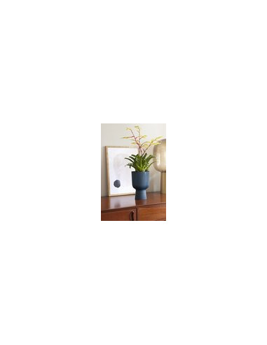 FERTILIZANTE LIQUIDO PLANTA VERDE 1300 ML