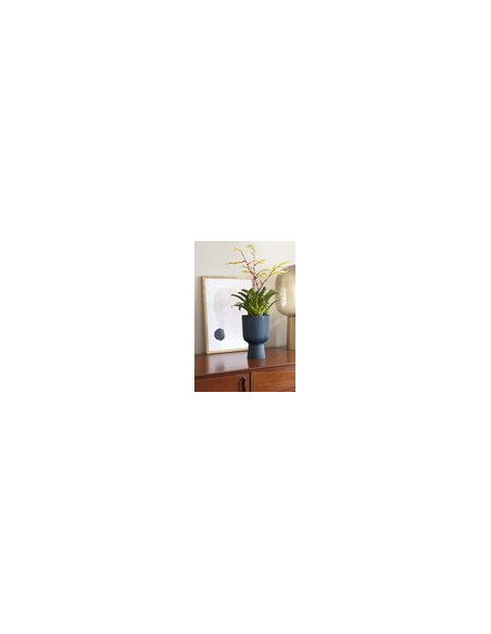FERTILIZANTE LIQUIDO PLANTA VERDE 1300 ML