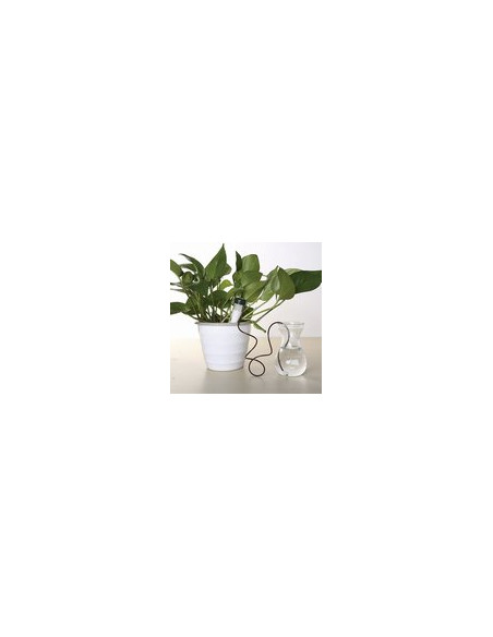 SISTEMA RIEGO MACETAS 3+1 CONO
