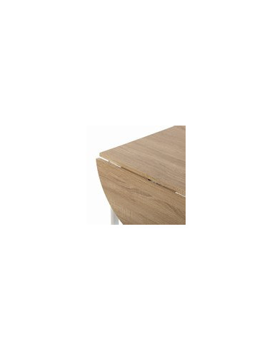 MESA + 2 SILLAS BLANCO 61X55X77