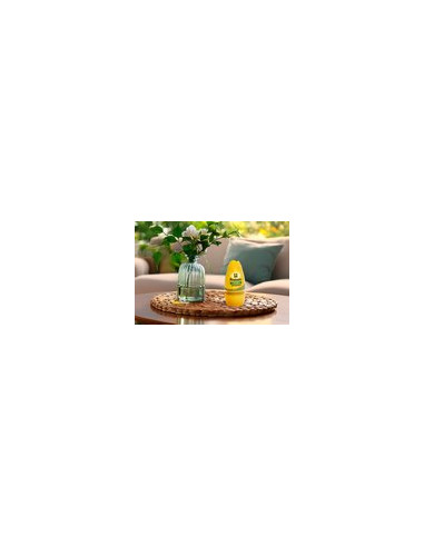 CITRONELA GEL 150 GR