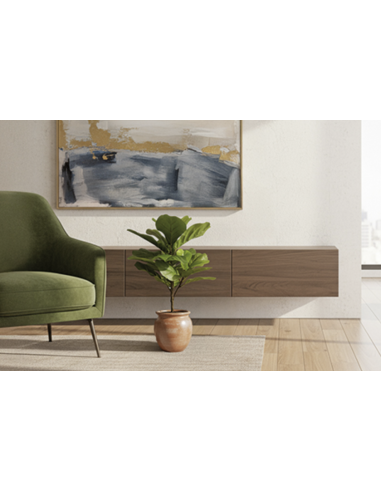 FICUS LYRATA 60 CM