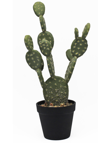 MACETA CACTUS 44.5 CM
