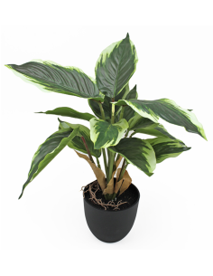 MACETA PLANTA 14 HOJAS 28X36 CM