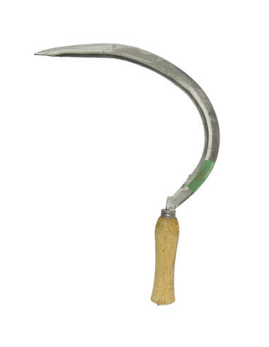 HOZ DENTADA 22 MM 345 MM