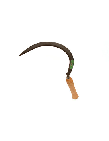 HOZ DENTADA 22 MM 355 MM