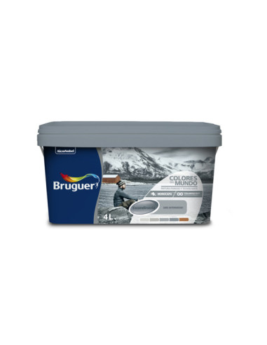 PINT PLAST ESCANDI. GRIS NATUR 4 L