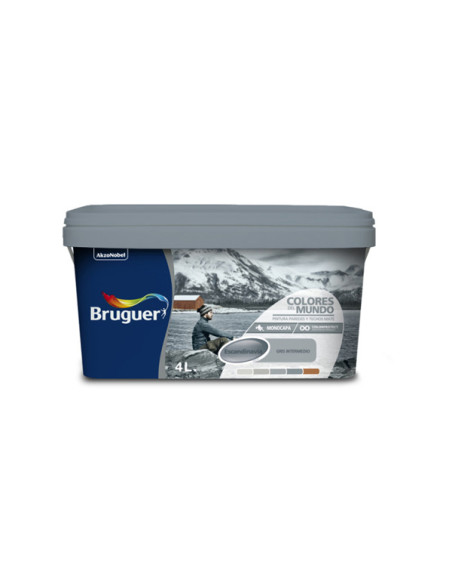 PINT PLAST ESCANDI. GRIS NATUR 4 L