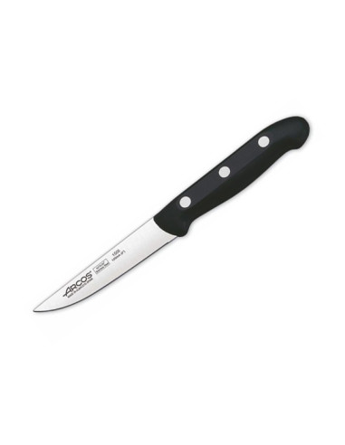 CUCHILLO COCINA VERDURA MAITRE 100 MM